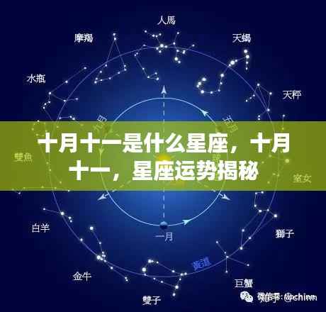 十月十一日星座运势揭秘，探索星座奥秘，洞悉未来走向