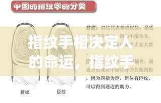 指纹手相揭秘命运密码，揭示未来蓝图与人生轨迹