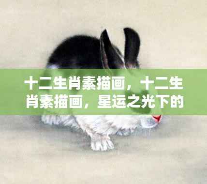 星运之光下的生肖魅力，十二生肖素描画欣赏