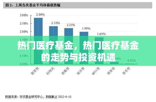 热门医疗基金的投资趋势与机遇分析