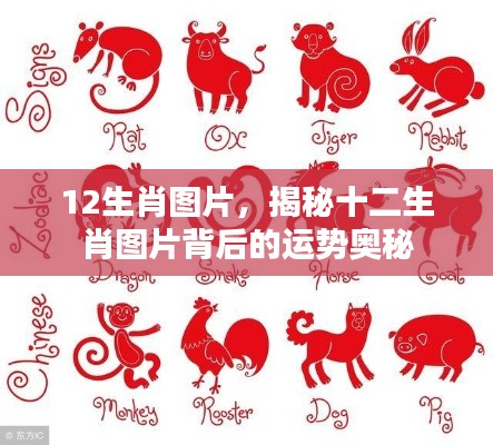 百鸟齐鸣 第5页