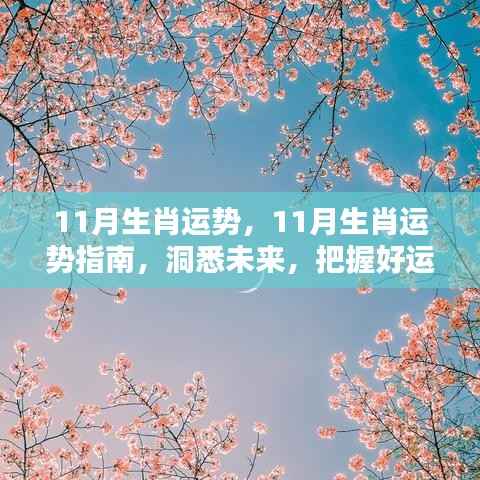 11月生肖运势解析，洞悉未来，把握好运势指南