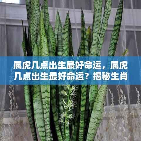 飞来横祸 第6页