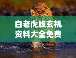 虎视眈眈 第7页