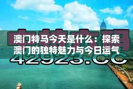 澳门特马今天是什么：探索澳门的独特魅力与今日运气