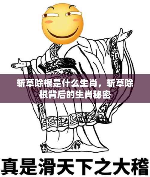 斩草除根背后的生肖秘密揭晓，揭秘生肖与斩草除根的神秘联系