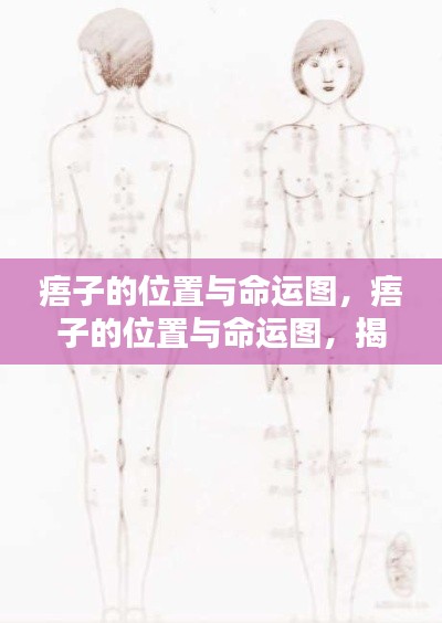 痦子位置与命运图，揭示星相与身体痣相的奥秘联系