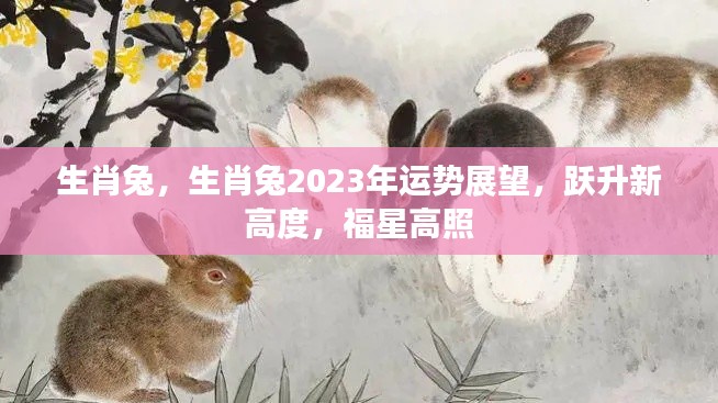 生肖兔2023年运势展望，跃升新高度，福星照耀，好运连连
