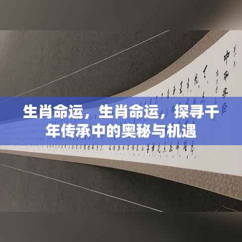 生肖命运奥秘探寻，千年传承中的机遇与挑战