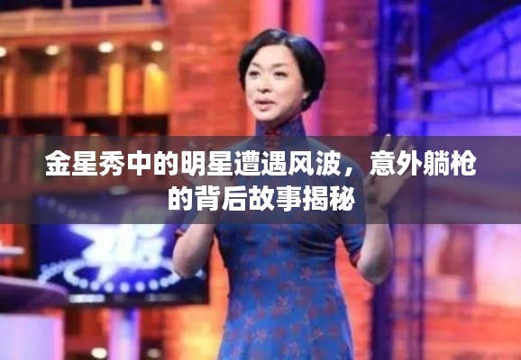 贵险贱璧 第4页