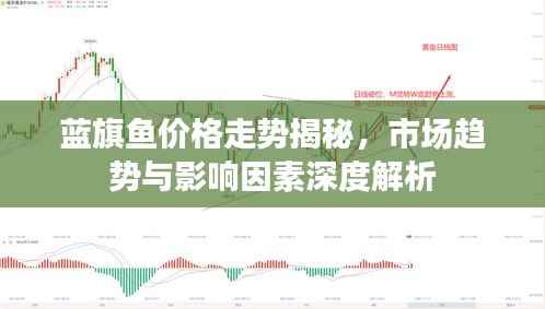 蓝旗鱼价格走势揭秘，市场趋势与影响因素深度解析