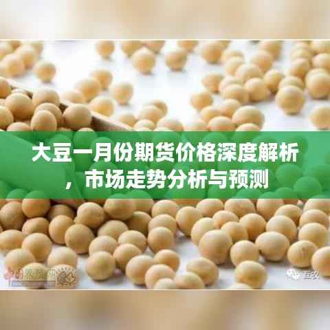 大豆一月份期货价格深度解析，市场走势分析与预测