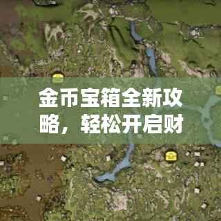 金币宝箱全新攻略，轻松开启财富之门！