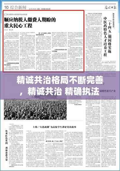 精诚共治格局不断完善，精诚共治 精确执法 